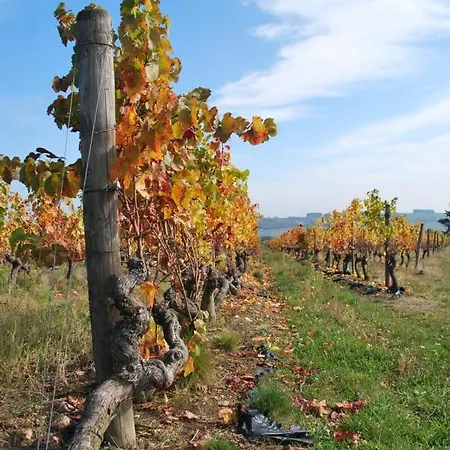 D'hotes Maison Balady Bed and breakfast