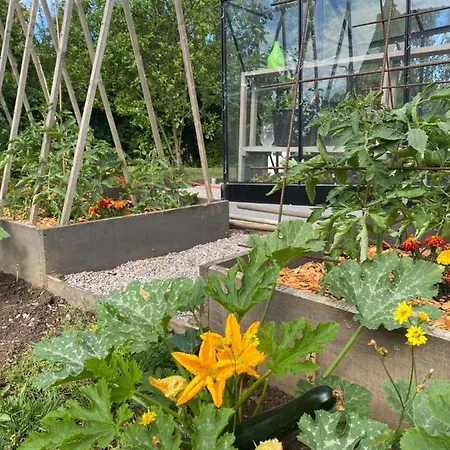 D'hotes Maison Balady Bellenaves