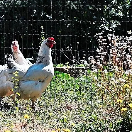 D'hotes Maison Balady